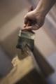 Описание: Огнебиозащита дерева, обработка дерева.